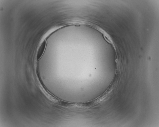 X0000087641195200705241232