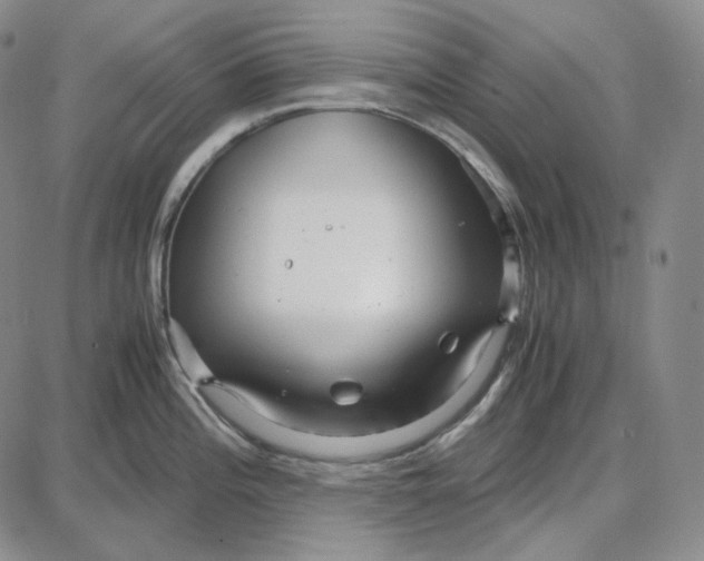 X0000087641196200705241232