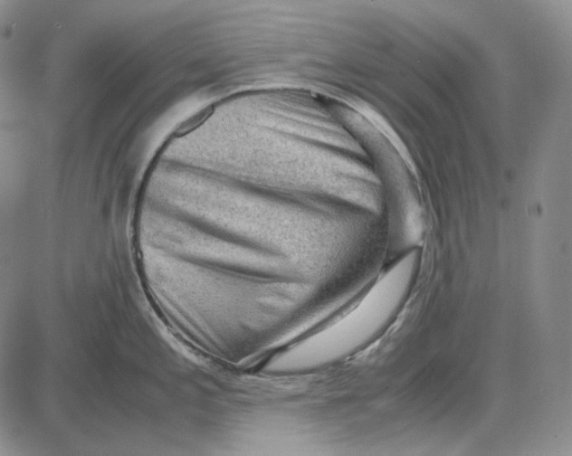 X0000087641197200705241232