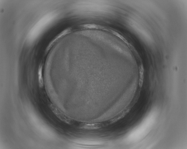 X0000087641198200705241232