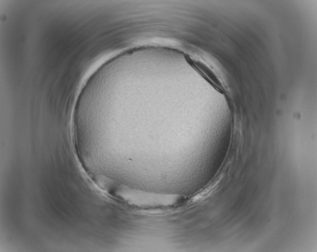 X0000087641199200705241232