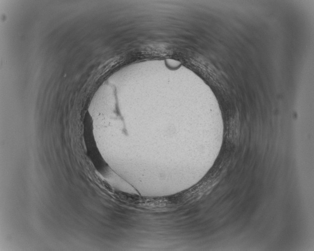 X0000087641201200705241231