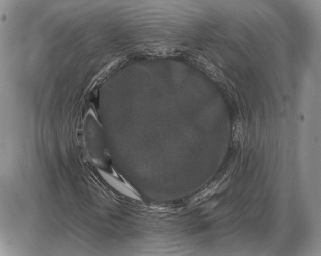 X0000087641202200705241231