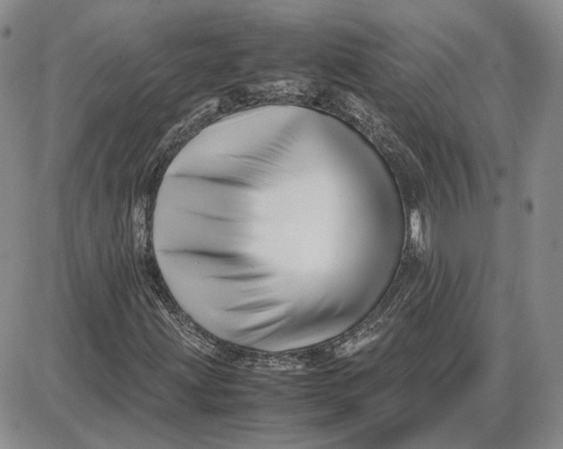 X0000087641203200705241231