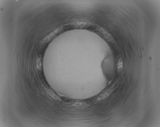 X0000087641204200705241231