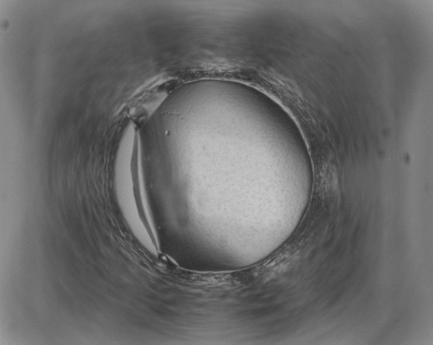 X0000087641205200705241231