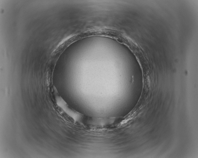 X0000087641206200705241231