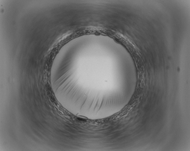 X0000087641207200705241231