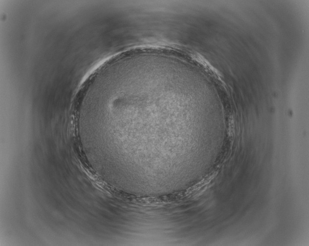 X0000087641208200705241231