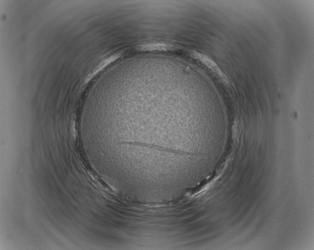 X0000087641209200705241231