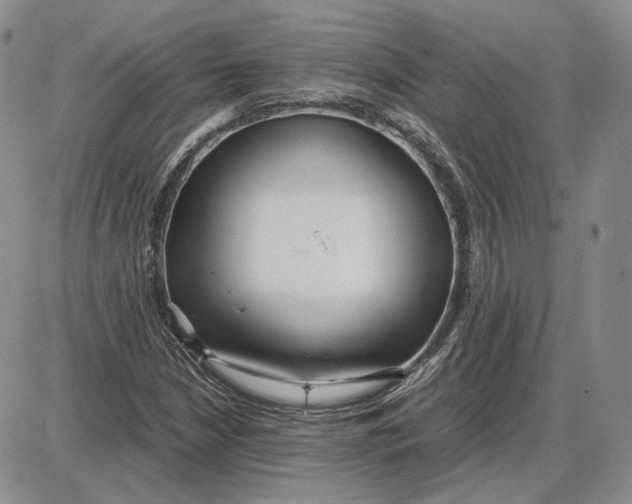 X0000087641210200705241231