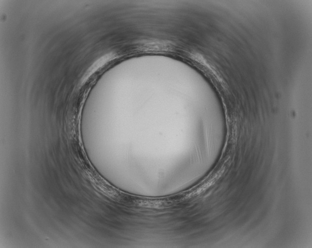 X0000087641211200705241231