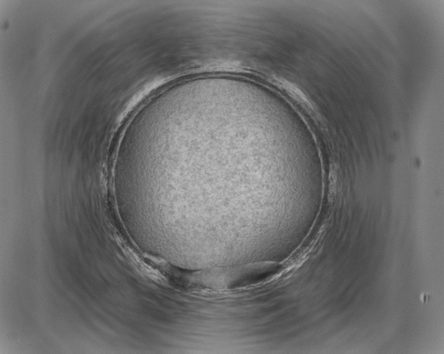 X0000087641212200705241231