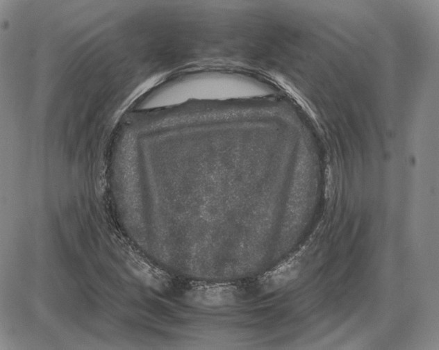 X0000087641213200705241231