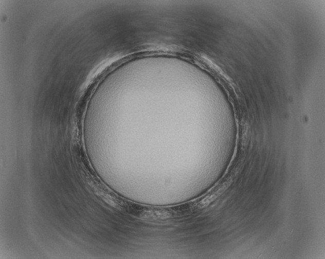 X0000087641215200705241231