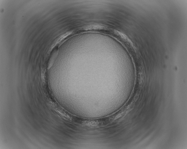 X0000087641217200705241231