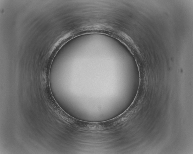 X0000087641218200705241231