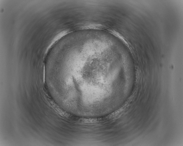 X0000087641219200705241231