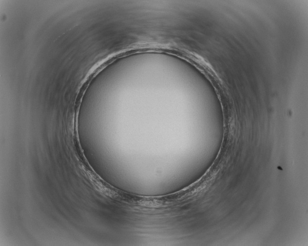 X0000087641220200705241231