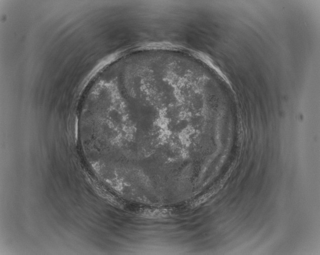 X0000087641221200705241231