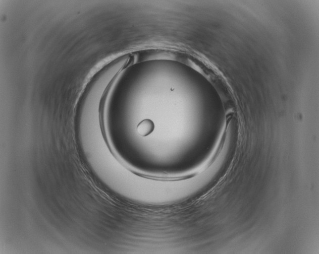 X0000087641222200705241231