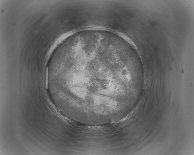 X0000087641223200705241231