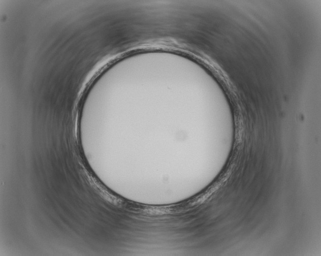 X0000087641224200705241231