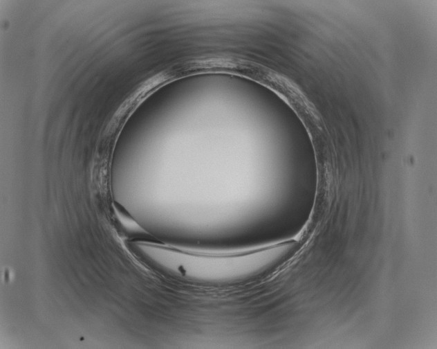 X0000087641225200705241231