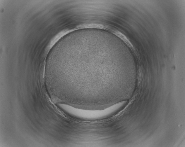 X0000087641228200705241231