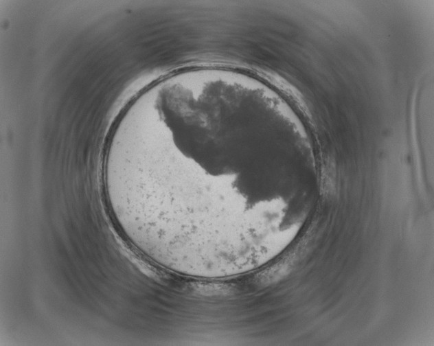 X0000087641231200705241232