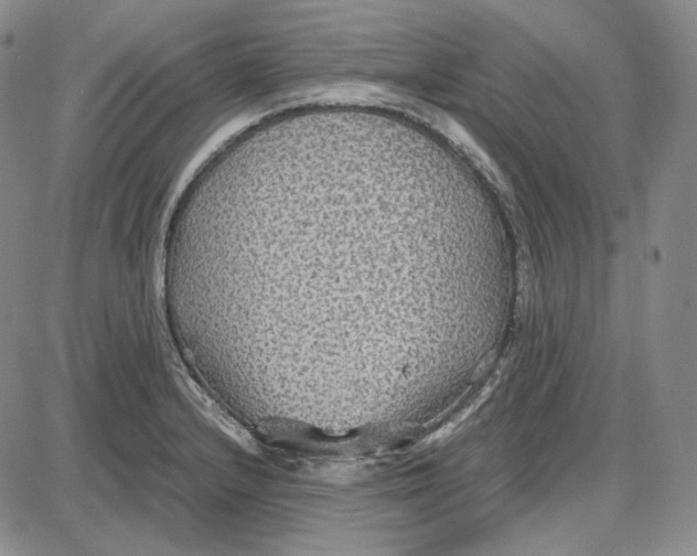 X0000087641232200705241232