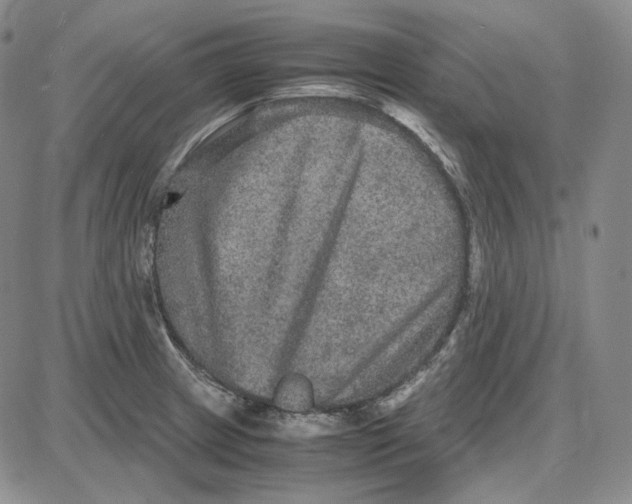 X0000087641233200705241232