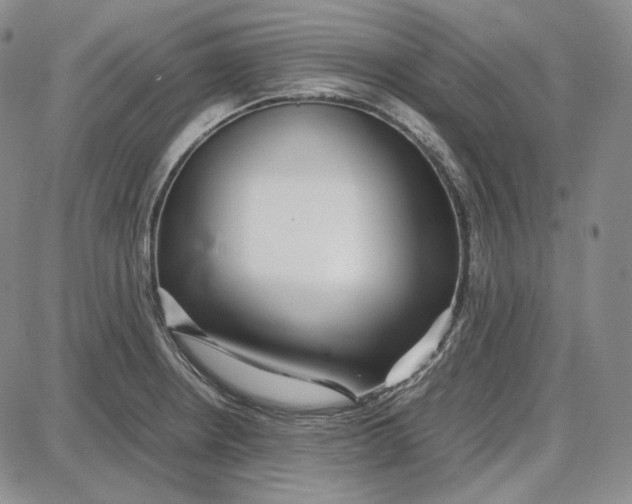 X0000087641234200705241232