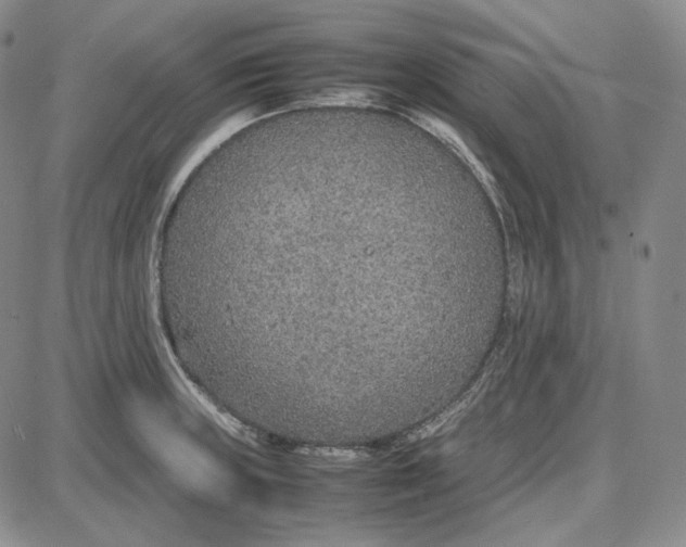 X0000087641235200705241232