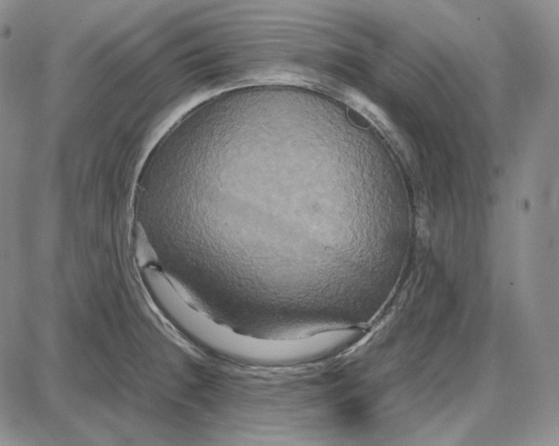 X0000087641236200705241232