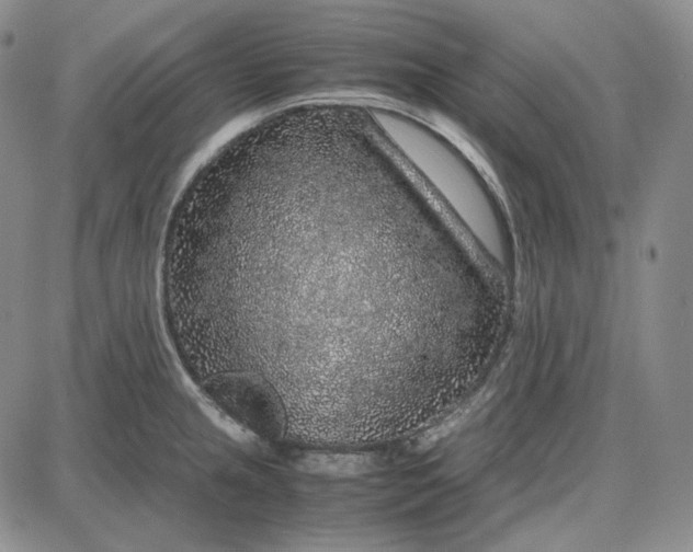 X0000087641237200705241232