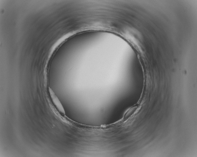 X0000087641238200705241232