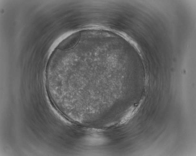 X0000087641239200705241232