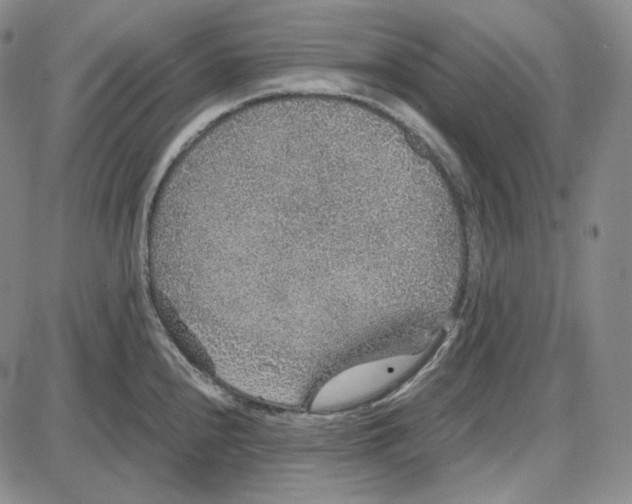 X0000087641240200705241232