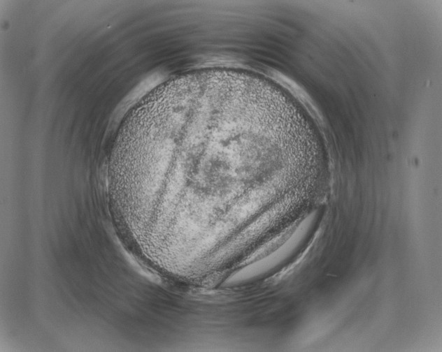 X0000087641241200705241232