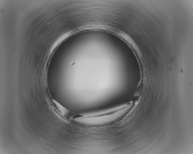 X0000087641242200705241232