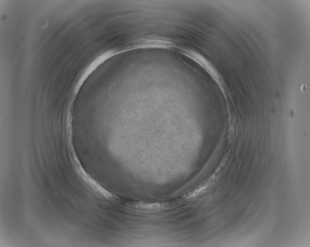 X0000087641243200705241232