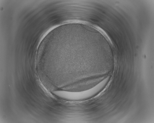 X0000087641244200705241232