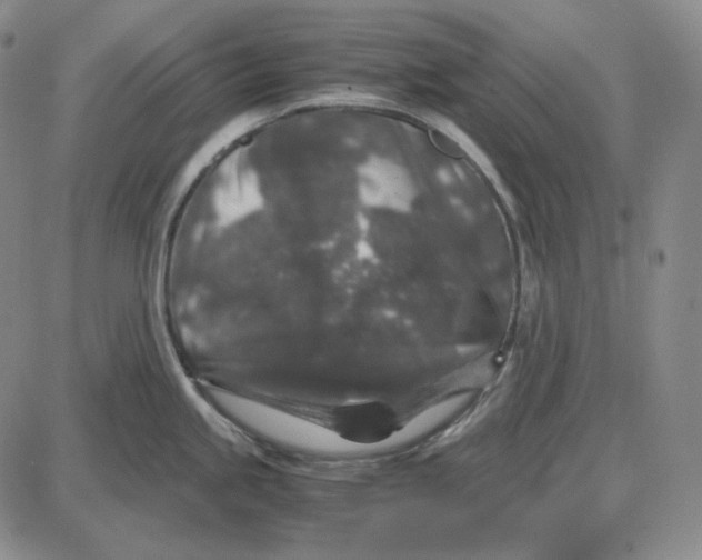 X0000087641245200705241232