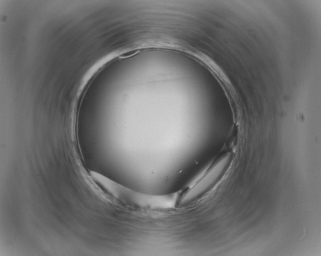 X0000087641246200705241232