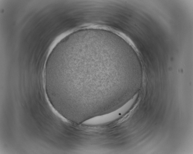 X0000087641247200705241232