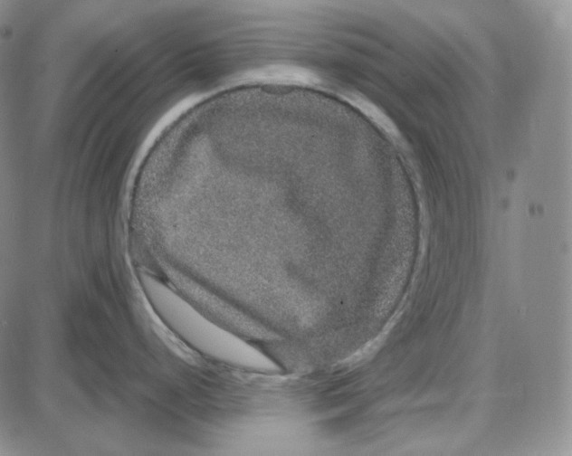 X0000087641248200705241232