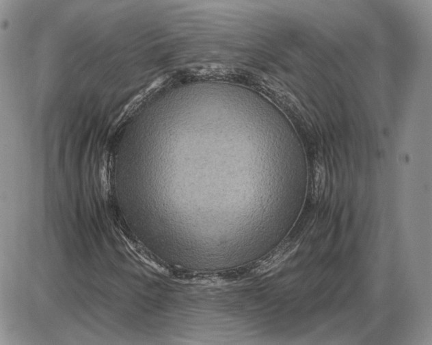 X0000087641250200705241231