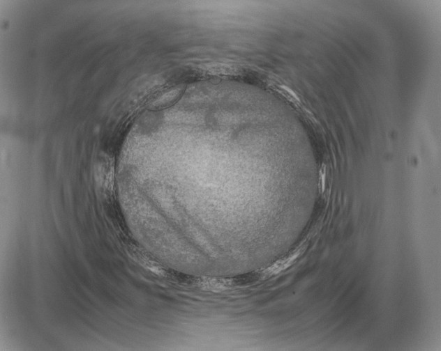 X0000087641251200705241231