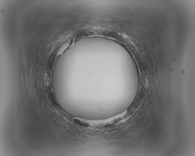 X0000087641253200705241231